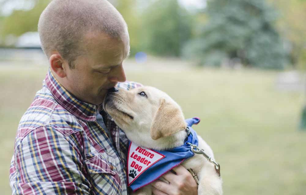 Charming Charlie: ‘Future Leader Dog’ to finish training soon