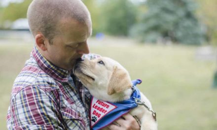 Charming Charlie: ‘Future Leader Dog’ to finish training soon